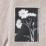 Noskin Horizon Long Sleeve Button up patched shirt